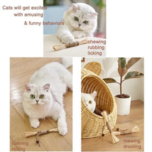 Load image into Gallery viewer, Natural Silvervine Stick Cat Chew Toy
