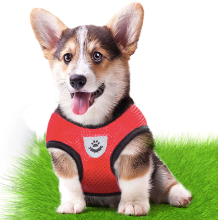 Quietrend™ Dog Harness